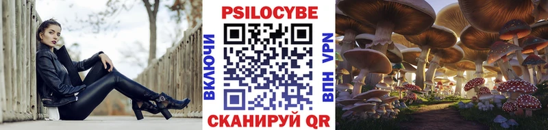 даркнет сайт Покров кракен вход Псилоцибиновые грибы Magic Shrooms