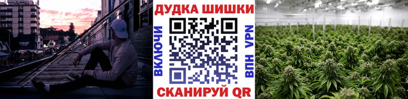 Конопля Amnesia  Покров 